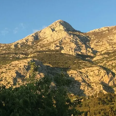 Drago Makarska