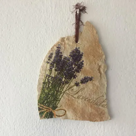 Apartmán Drago